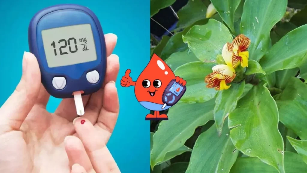 Insulin Plant Control Blood Sugar