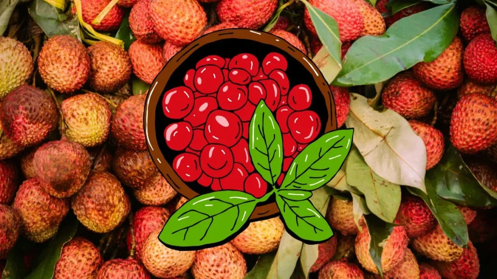 Lychee Health Benefits