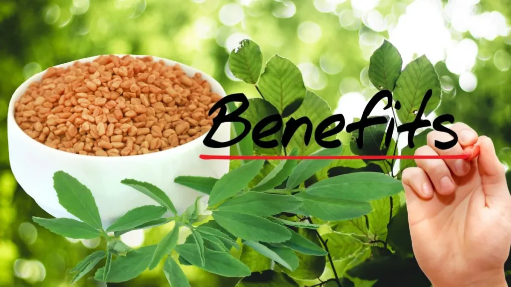 Methi Benefits